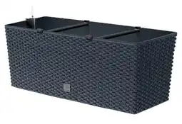 Poco Prosperplast Blumenkasten Rato Case Angebot