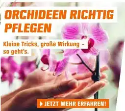 OBI Action 20 Angebot