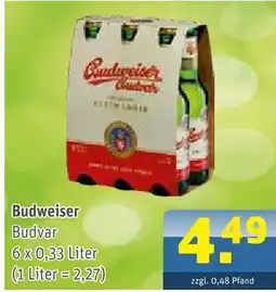 Getränke Arena Budweiser budvar Angebot