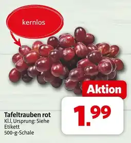 Markant Tafeltrauben rot Angebot