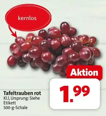 Markant Tafeltrauben rot Angebot