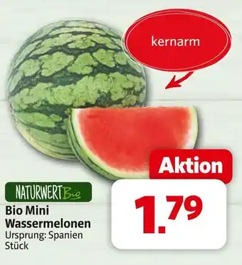 Markant Naturwert bio bio mini wassermelonen Angebot