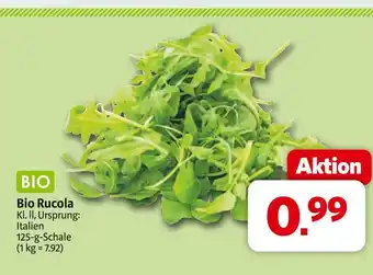 Markant Bio rucola Angebot