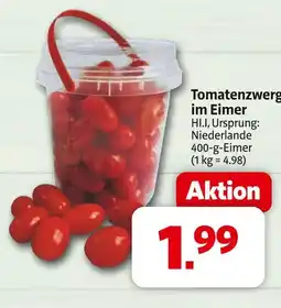 Markant Tomatenzwerg im eimer Angebot