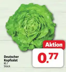 Markant Deutscher kopfsalat Angebot