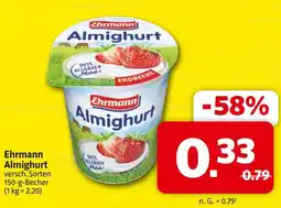 Markant Ehrmann almighurt Angebot