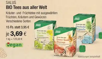 Vitalia Salus bio tees aus aller welt Angebot