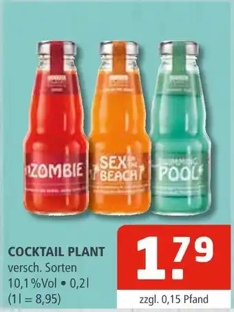 Getränke Oase Cocktail plant zombie Angebot