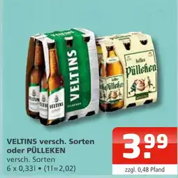 Getränke Oase Veltins veltins versch. sorten oder pülleken Angebot