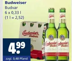 Getränkewelt Budweiser budvar Angebot