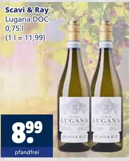 Getränkewelt Scavi & ray lugana doc Angebot