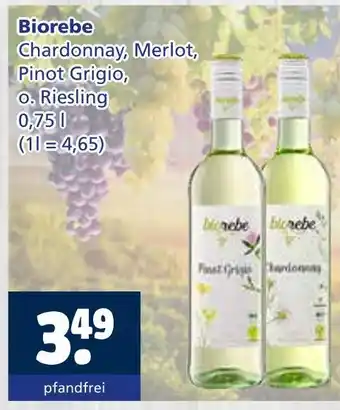 Getränkewelt Biorebe chardonnay, merlot, pinot grigio, o. riesling Angebot