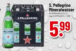 trinkgut S. pellegrino mineralwasser Angebot