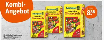 tegut Prestoplant qualitäts blumenerde Angebot