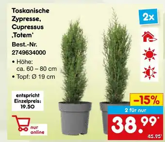 Netto Marken-Discount Toskanische zypresse, cupressus ‚totem‘ Angebot