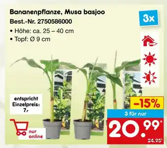 Netto Marken-Discount Bananenpflanze, musa basjoo Angebot