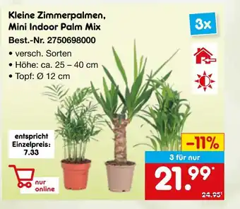 Netto Marken-Discount Kleine zimmerpalmen, mini indoor palm mix Angebot