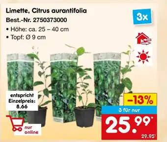 Netto Marken-Discount Limette, citrus aurantifolia Angebot