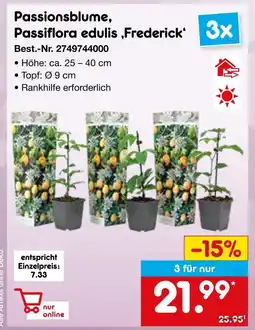 Netto Marken-Discount Passionsblume, passiflora edulis 'frederick' Angebot