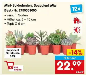 Netto Marken-Discount Mini-sukkulenten, succulent mix Angebot