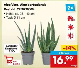 Netto Marken-Discount Aloe vera, aloe barbadensis Angebot