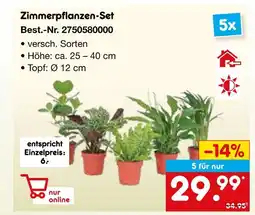 Netto Marken-Discount Zimmerpflanzen-set Angebot