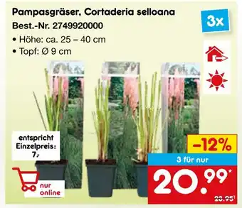 Netto Marken-Discount Pampasgräser, cortaderia selloana Angebot