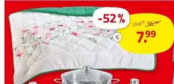 ROLLER Sommersteppbett Angebot