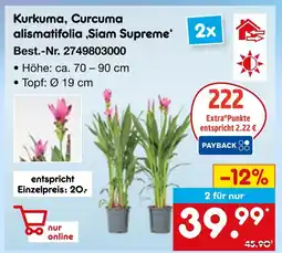 Netto Marken-Discount Kurkuma, curcuma alismatifolia ‚siam supreme‘ Angebot