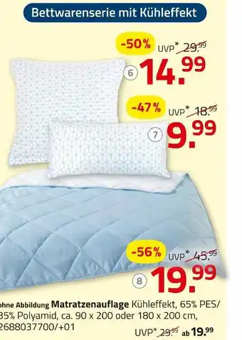 ROLLER Kopfkissen oder decke Angebot
