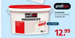 ROLLER Profitan innenweiss Angebot