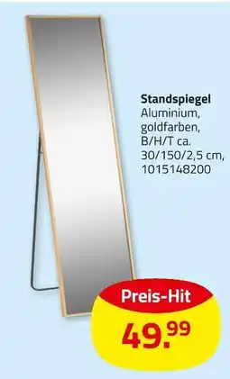 ROLLER Standspiegel Angebot