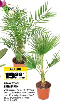 OBI Grow by obi palmenmix Angebot