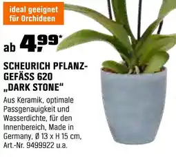 OBI Scheurich pflanzgefäß 620 dark stone Angebot