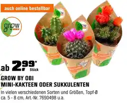 OBI Grow by obi mini-kakteen oder sukkulenten Angebot