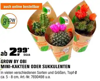 OBI Grow by obi mini-kakteen oder sukkulenten Angebot