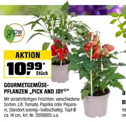 OBI Grow by obx gourmetgemüse-pflanzen „pick and joy“ Angebot