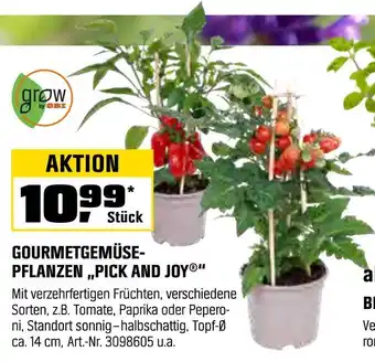 OBI Grow by obx gourmetgemüse-pflanzen „pick and joy“ Angebot