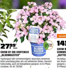 OBI Grow by obi hortensie „bloombuster“ Angebot