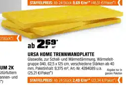 OBI Ursa home trennwandplatte Angebot
