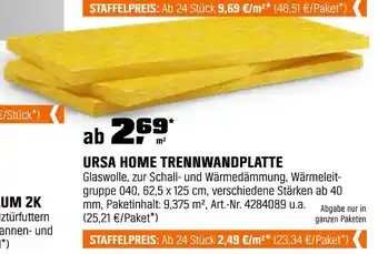 OBI Ursa home trennwandplatte Angebot