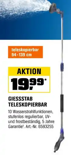 OBI Giessstab teleskopierbar Angebot