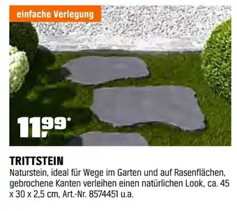 OBI Trittstein Angebot