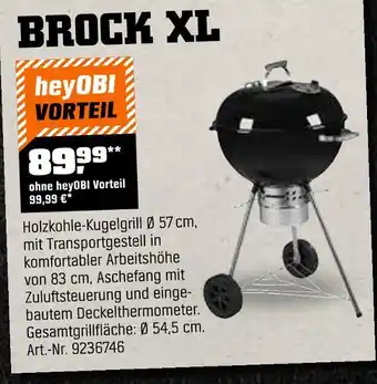 OBI Brock xl holzkohle-kugelgrill Angebot