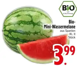Edeka Mini-wassermelone Angebot