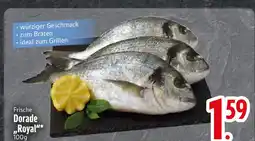 Edeka Frische dorade royal Angebot