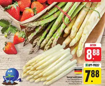 E-Center Spargel weiß/violett Angebot