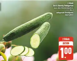 nah & gut Gut & günstig salatgurken Angebot