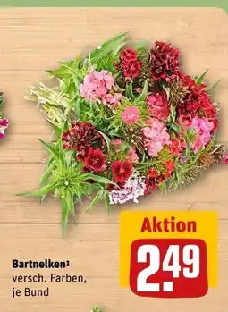 REWE Bartnelken Angebot