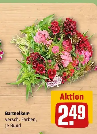 REWE Bartnelken Angebot
